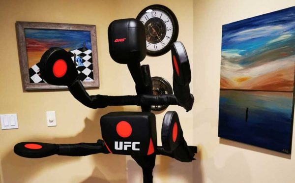 BAS-UFC-Fully-Adjustable-Body-Action-System